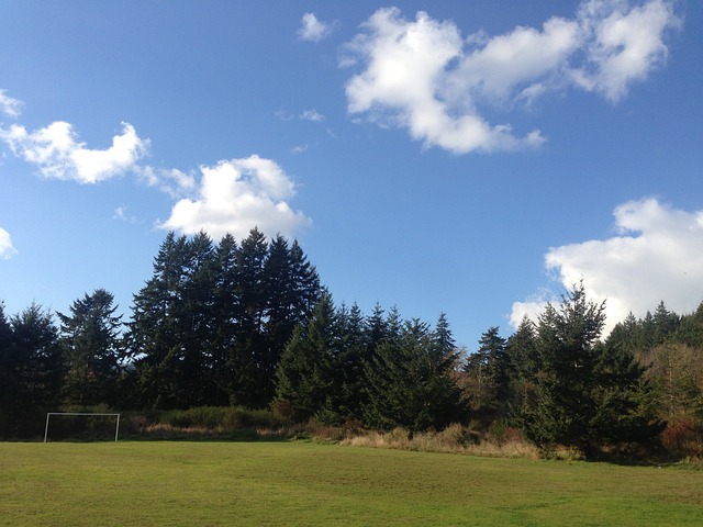 空间