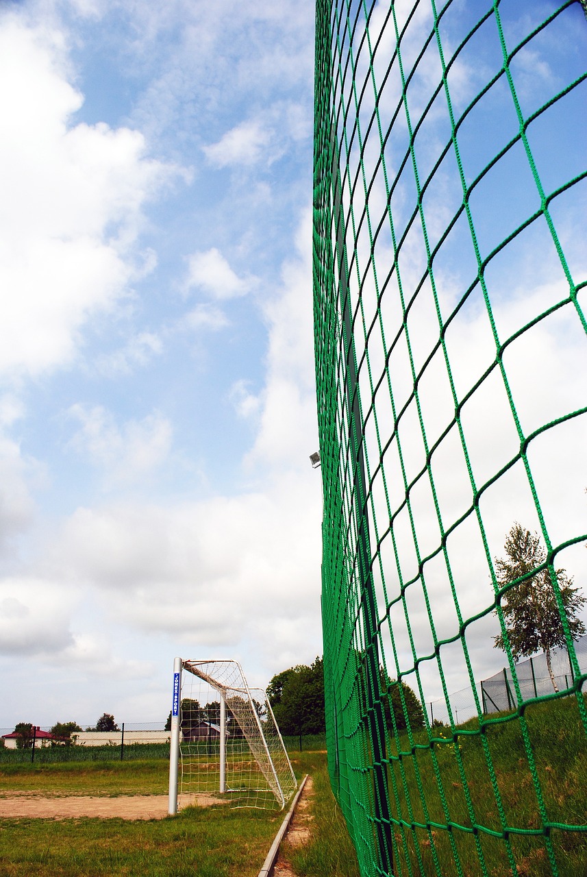 是主帅战术 是主帅战术