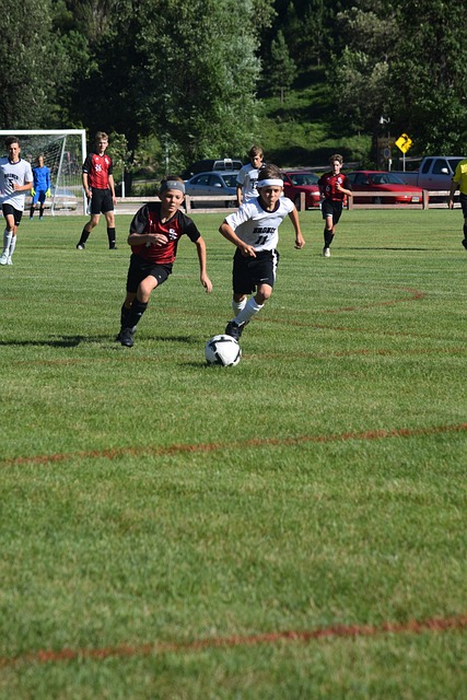 也预示着未 也预示着未