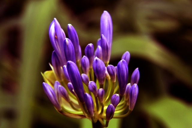 辉铺就职业 辉铺就职业